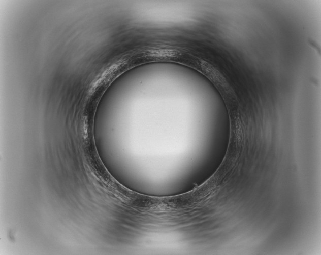 X0000099560731200805301541