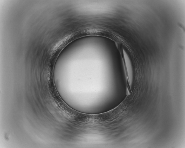 X0000099560732200805301541