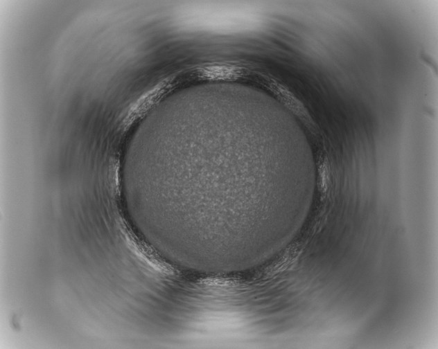 X0000099560733200805301541