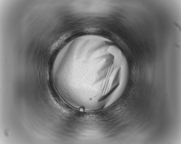 X0000099560734200805301541