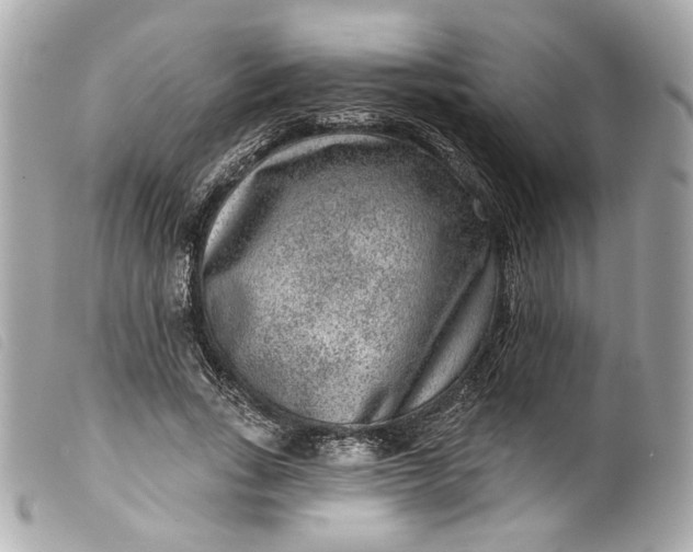 X0000099560735200805301541