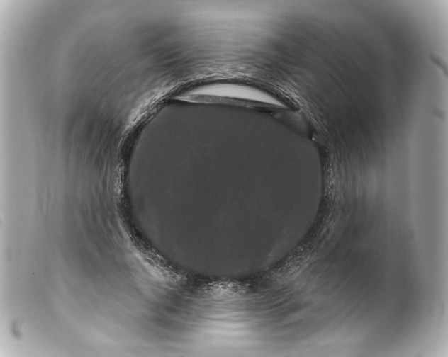 X0000099560736200805301541