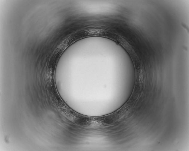 X0000099560737200805301541