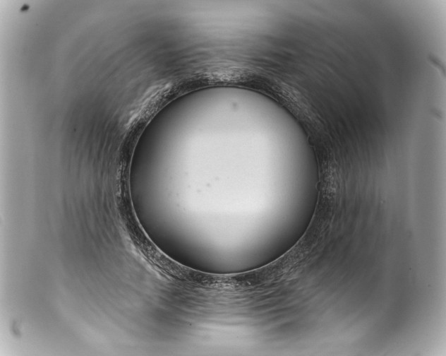 X0000099560738200805301541