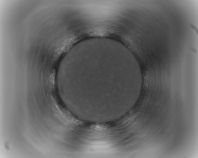 X0000099560739200805301541