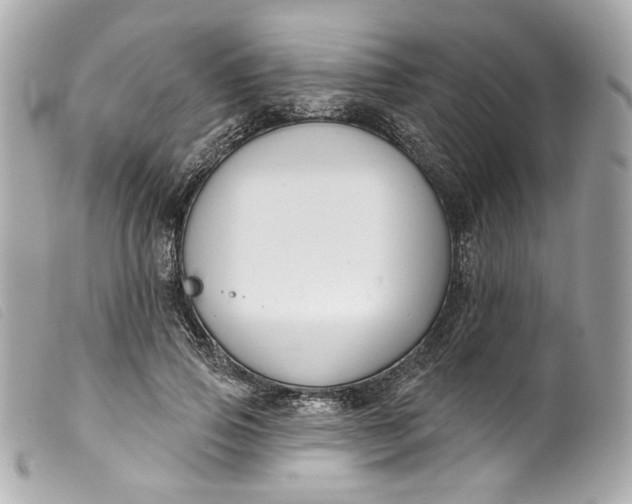 X0000099560741200805301541