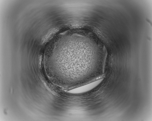 X0000099560742200805301541