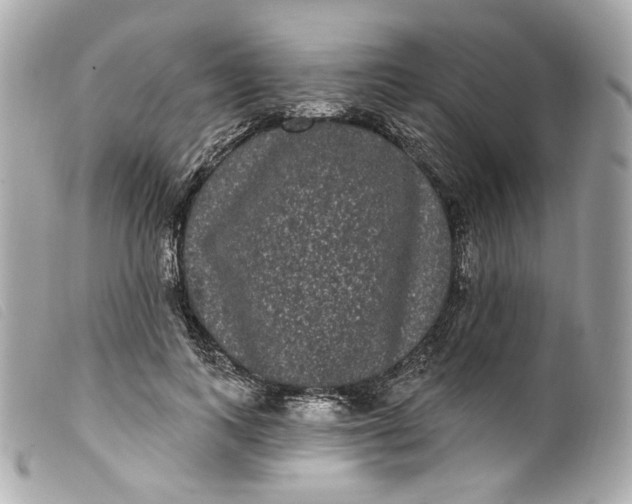 X0000099560743200805301541