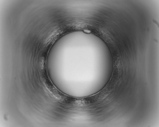 X0000099560744200805301541