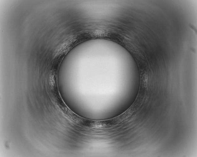 X0000099560746200805301541