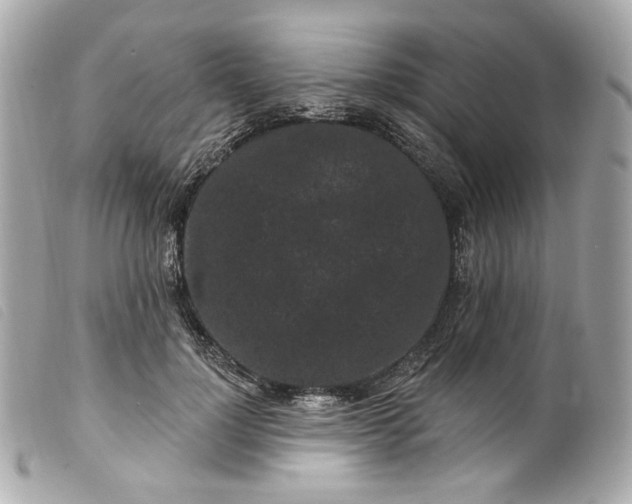 X0000099560748200805301541