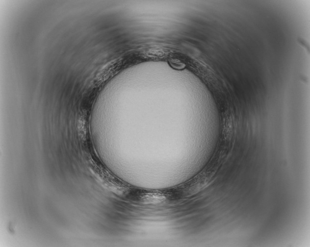 X0000099560749200805301541