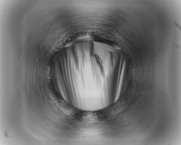 X0000099560750200805301541