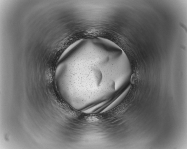 X0000099560751200805301541