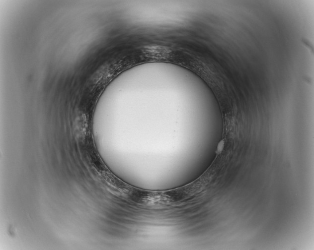 X0000099560752200805301541