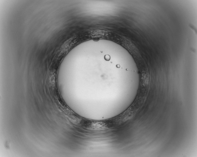 X0000099560753200805301541