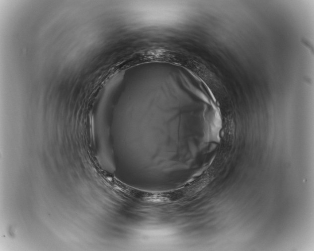 X0000099560754200805301541