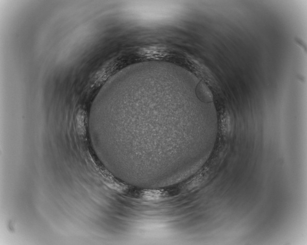 X0000099560757200805301541