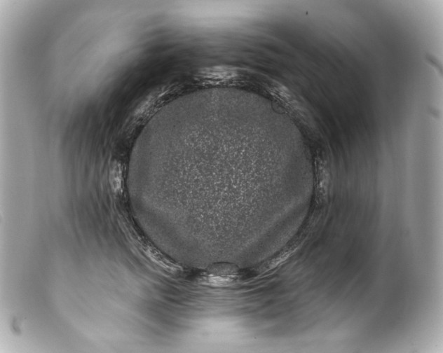 X0000099560758200805301541