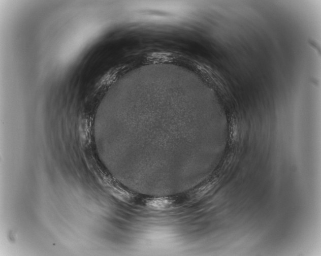 X0000099560759200805301541