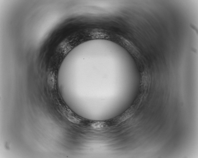 X0000099560761200805301541