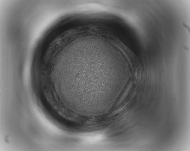 X0000099560765200805301541