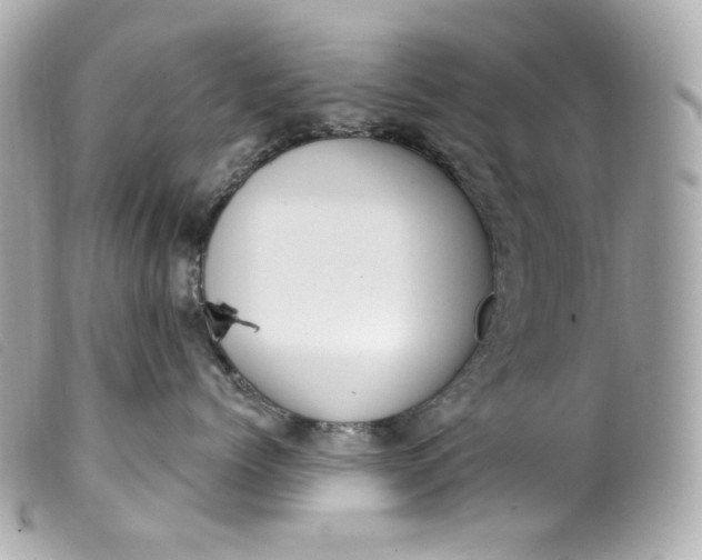 X0000099560768200805301541