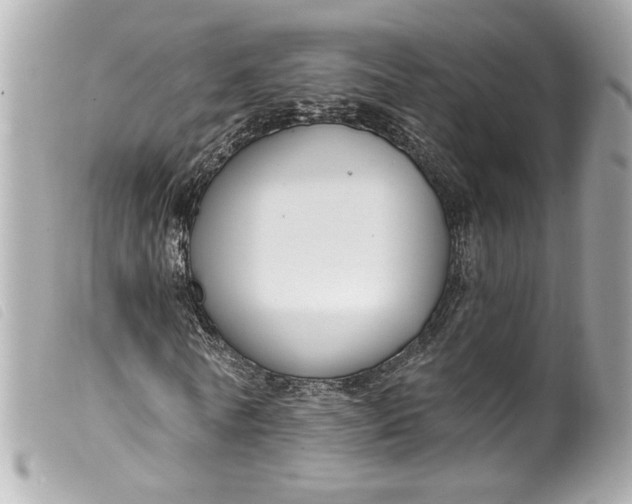 X0000099560770200805301541