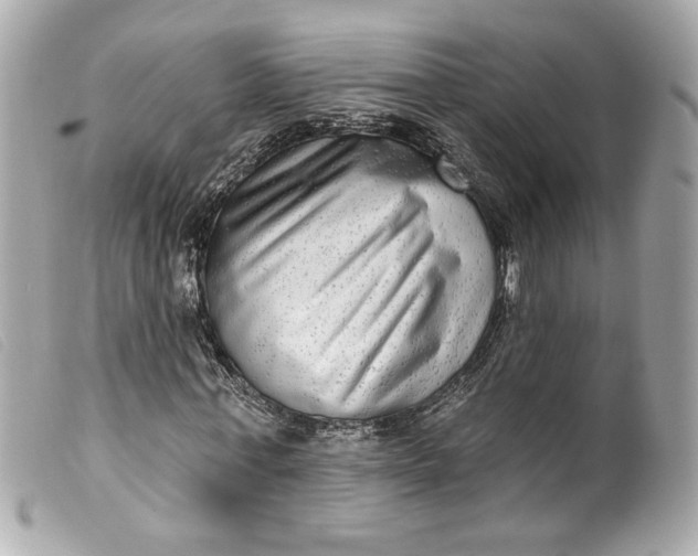 X0000099560771200805301541