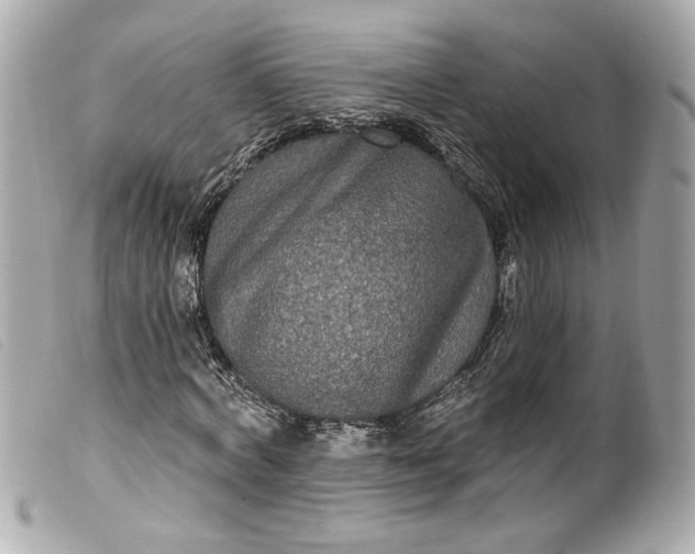 X0000099560772200805301541