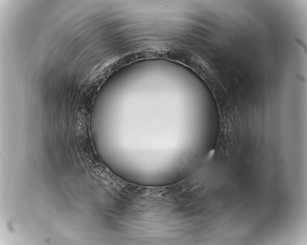 X0000099560773200805301541