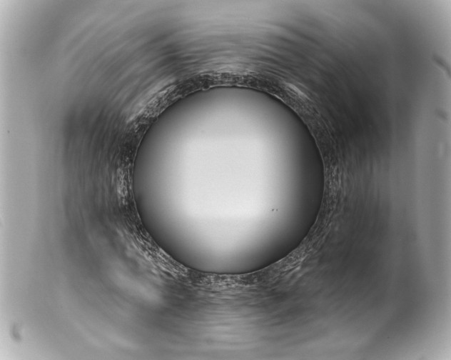 X0000099560774200805301541