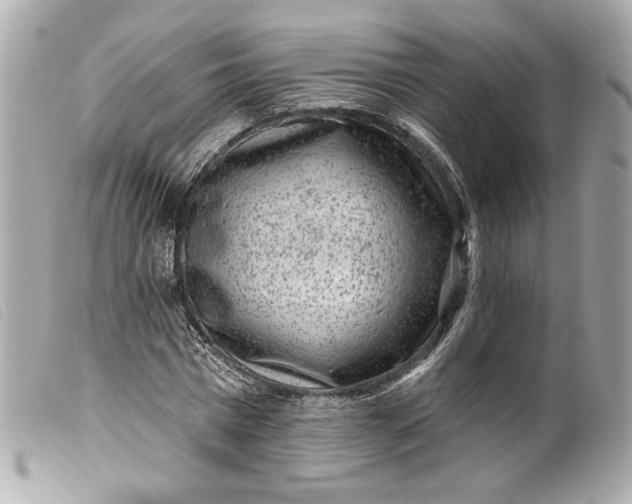 X0000099560777200805301541