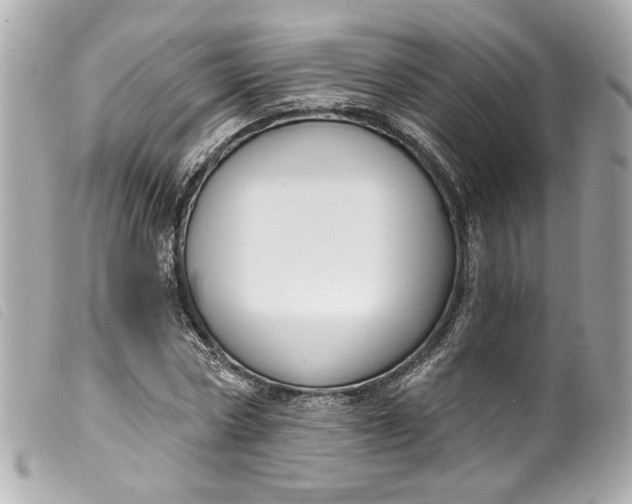 X0000099560778200805301541