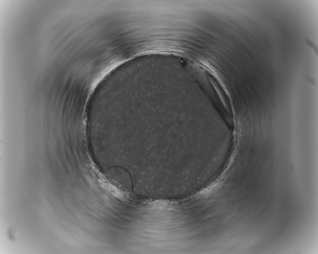 X0000099560779200805301540