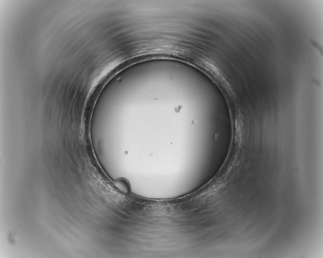 X0000099560780200805301540