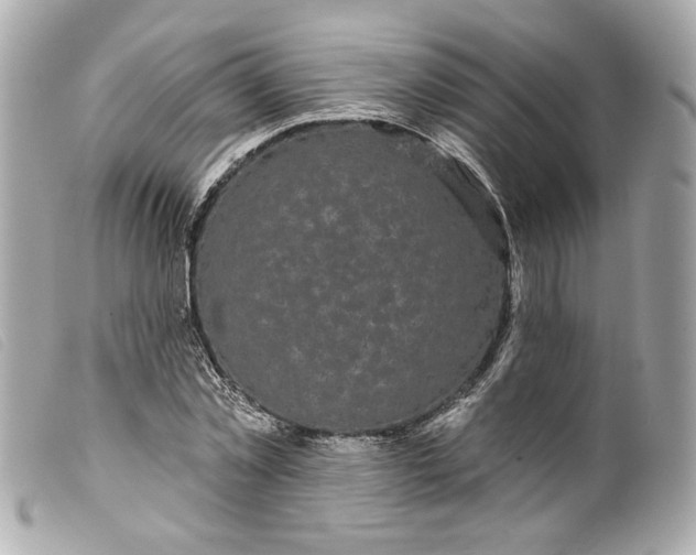 X0000099560781200805301540