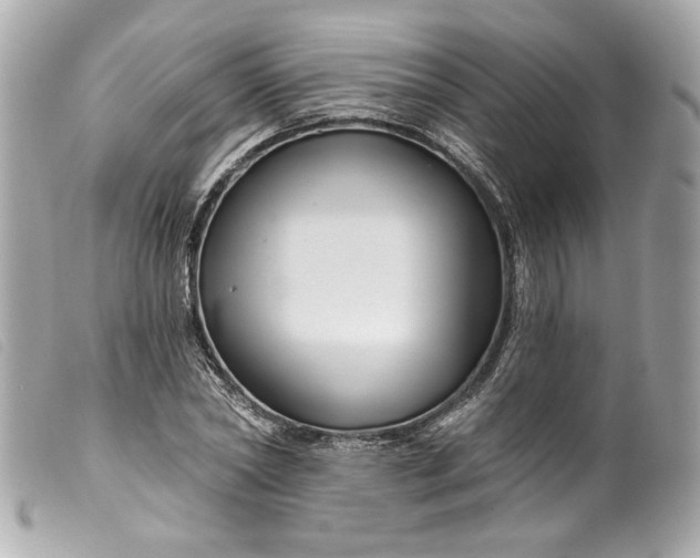 X0000099560782200805301540