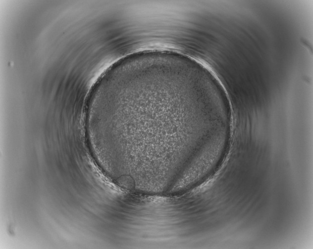 X0000099560783200805301540