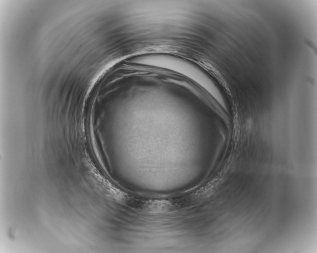 X0000099560784200805301540