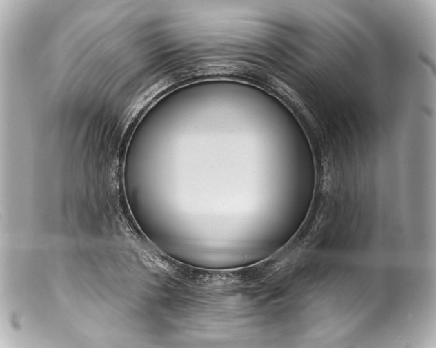 X0000099560786200805301540