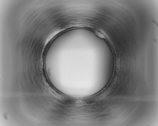 X0000099560787200805301540