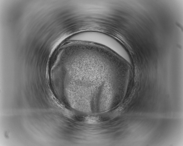 X0000099560788200805301540