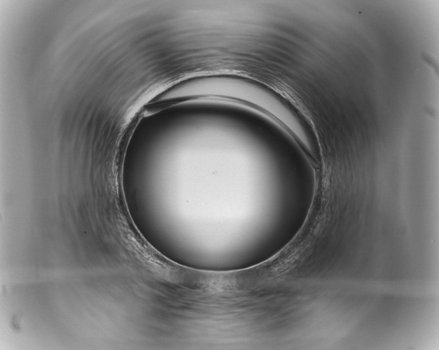 X0000099560789200805301540