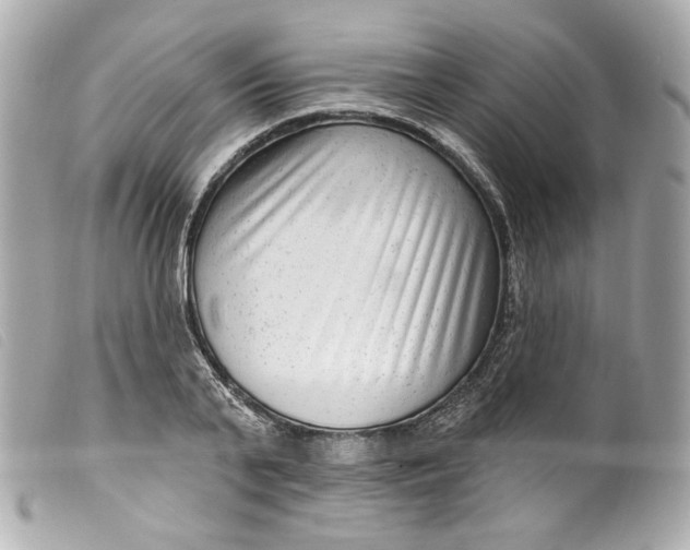 X0000099560791200805301540