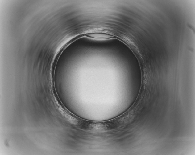 X0000099560792200805301540