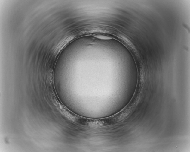 X0000099560793200805301540