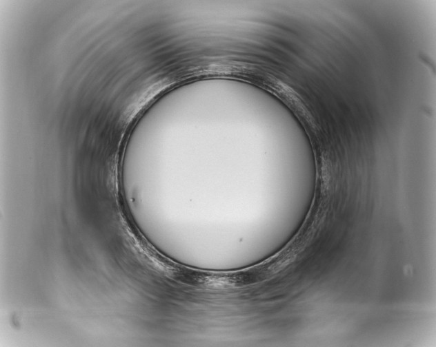 X0000099560794200805301540