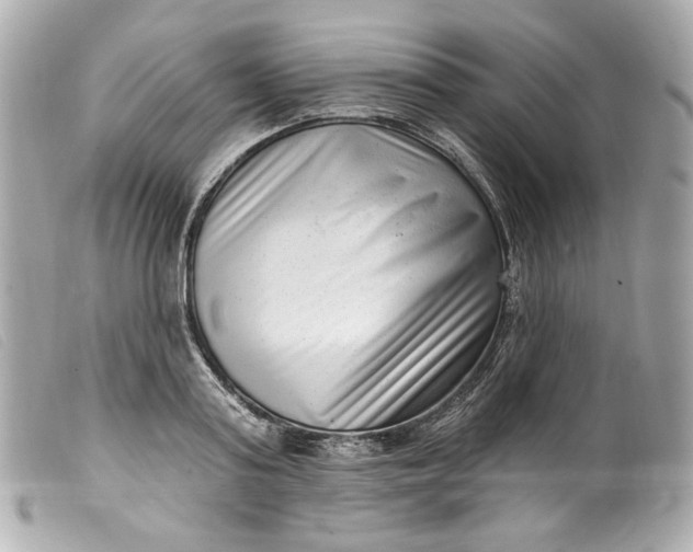 X0000099560795200805301540