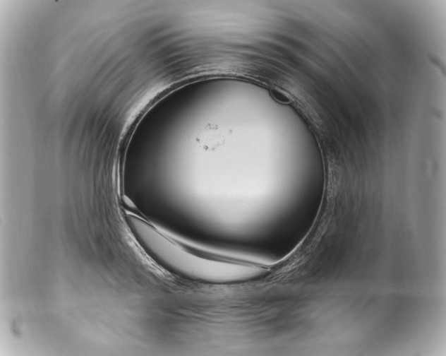 X0000099560796200805301540